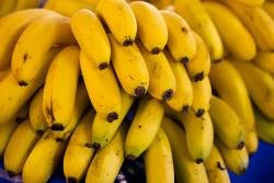 image banana 2