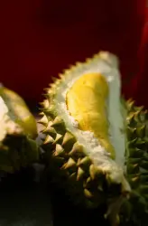 image durian 5